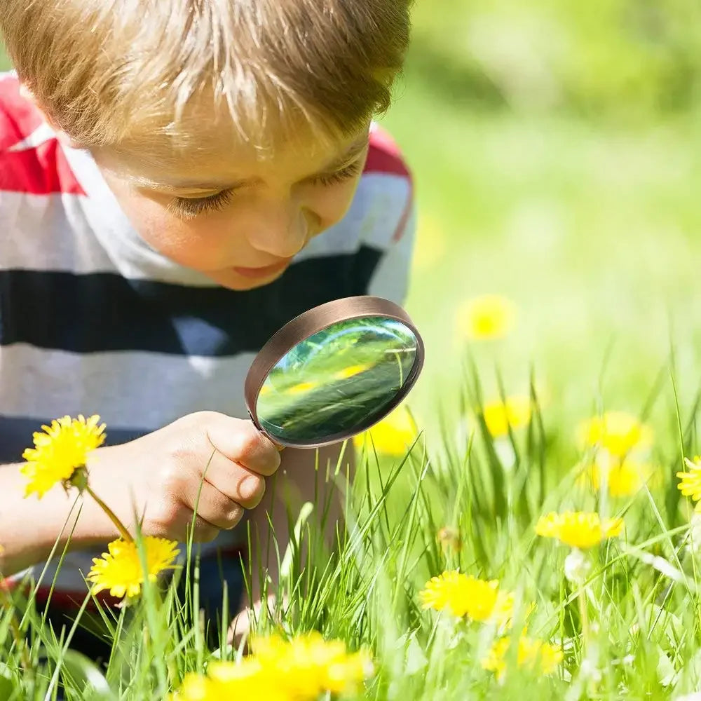 Loupe de Lecture - Vintage - 10X - Loupe de Lecture