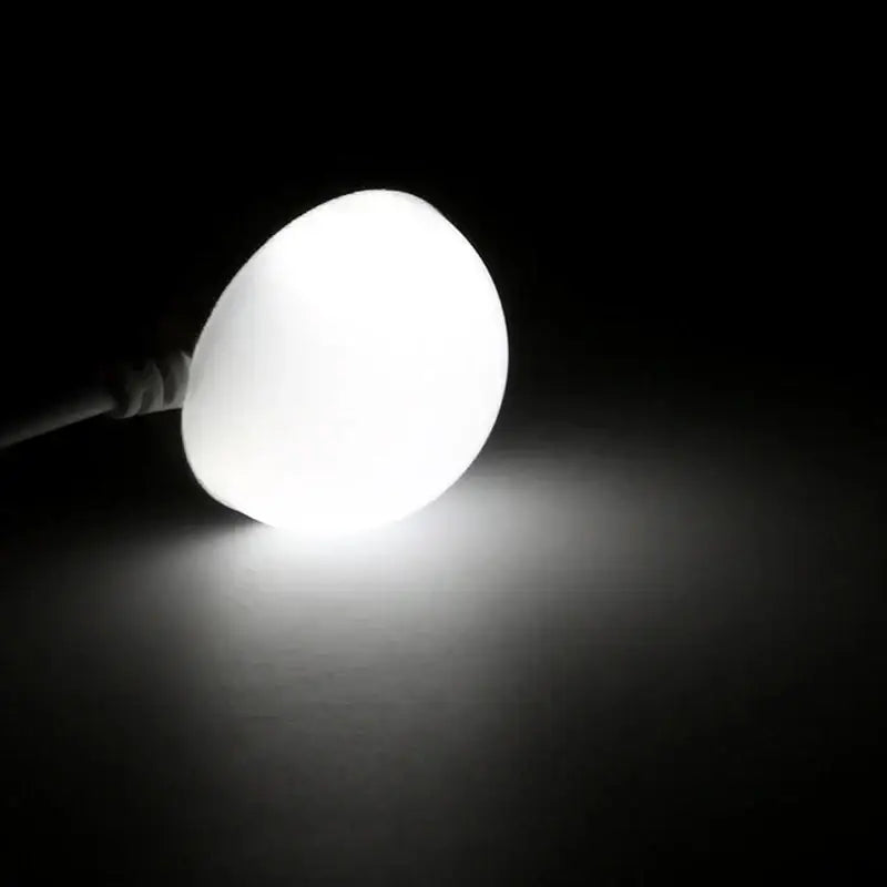 Mini Lampe de Lecture LED