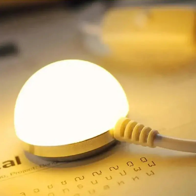 Mini Lampe de Lecture LED