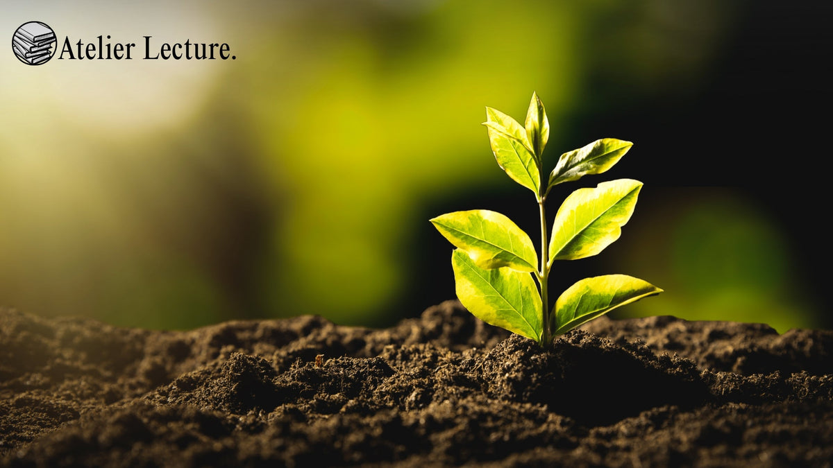 Quels Sont les Marque-Pages Écologiques Disponibles en 2026 ?