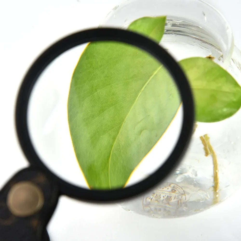 Loupe de Lecture de Poche - black - Loupe de Lecture