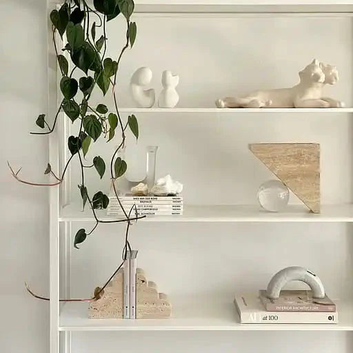 Serre livre ancien pierre